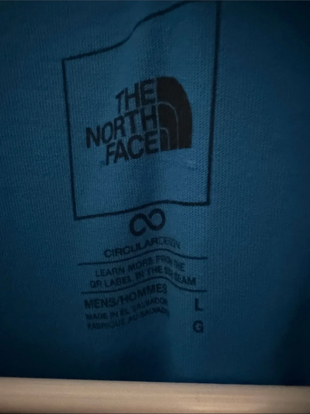 The North Face casual short